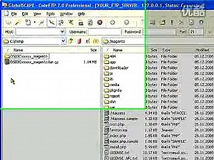 Magento模板安装演示
