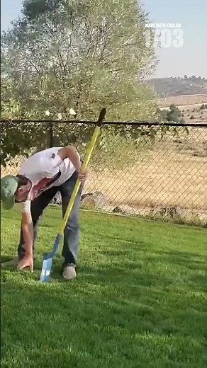 Perfect Lawn Secret: Test Your Soil pH Today