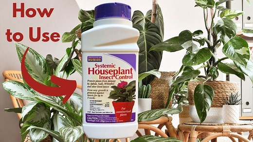 How to use Bonide systemic insect control