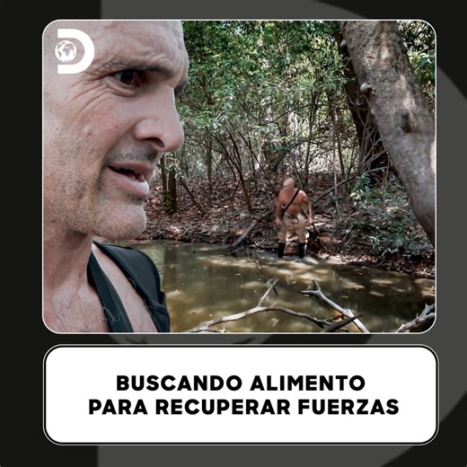 El desgaste es brutal: calor, humo y deshidratación lo están debilitando 😵🔥. Ed necesita comida ya, y cualquier error puede costarle energía vital. Mira su lucha por sobrevivir 👉▶️🌿💥 #DesoladoconEdStafford Descubre más contenidos como este en #HBOMax Suscríbete ahora https://bit.ly/MAX-DiscoveryLA | Discovery Latinoamérica