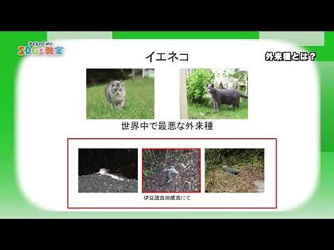 202408 子どものためのSDGs教室 第5回：外来種とは？