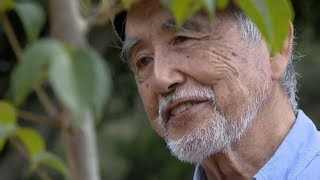 Japanese Lacquer Faces Crisis as Production Declines