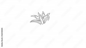 Animation of one single line drawing of potted snake plant for home decor logo identity. Fresh evergreen perennial plant concept for plant icon. Continuous line self draw animated. Full length motion.
