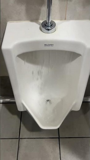 2020s Sloan urinal with flushometer boosted