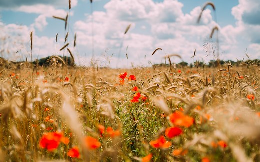 MATLAB基础教学视频（23集全）
