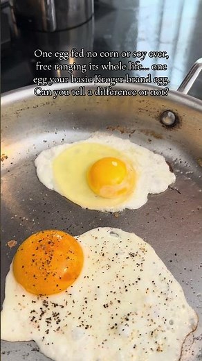 Pasture Raised, No Corn/Soy Chicken Egg vs Grocery Store Egg🥚| Free Range | Health Food