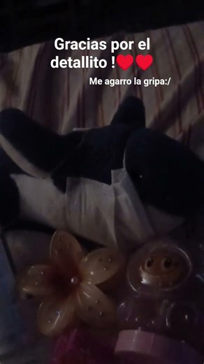 me agarro la gripa asi que me estare cuidando por eso no podre subir contenido hasta que me recupere
