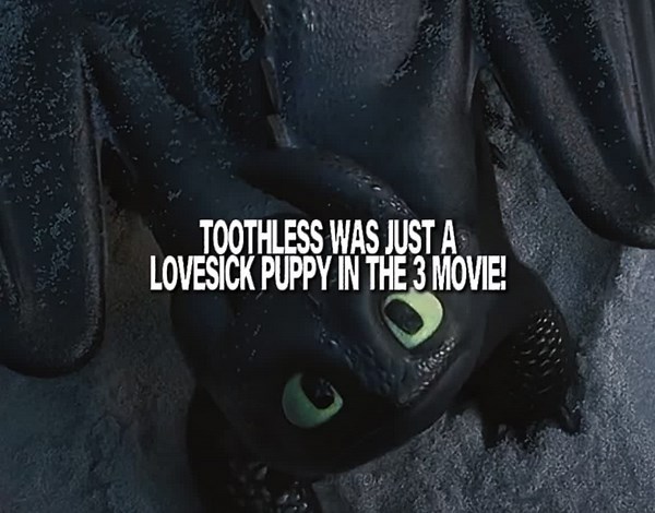 How to Train Your Dragon: A Toothless Edit
