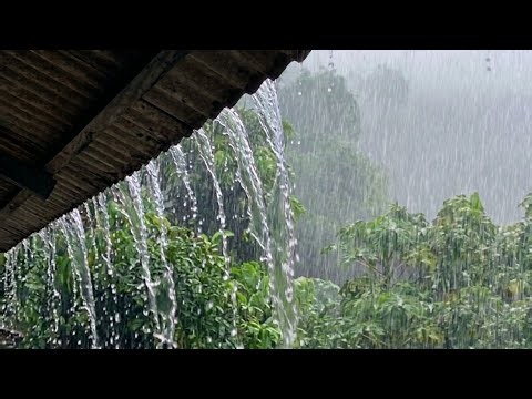 🌧️ Heavy Rain Sounds All Night | Deep Sleep, Relaxation & Stress Relief 😴