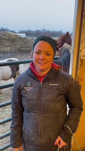 Barn Hack for Individual Horse Feeding Time