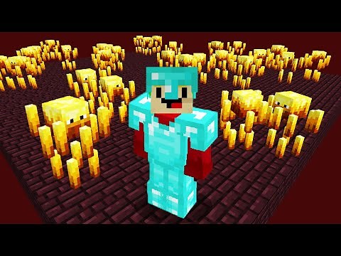 I Created the Greatest Blaze Farm in Skyblock