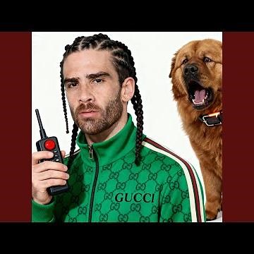 Shock My Dog I Can't Stop