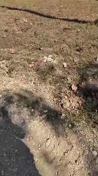 Gravel Driveway Installation Walkthrough in Ava, Missouri | Burdick Land Solutions