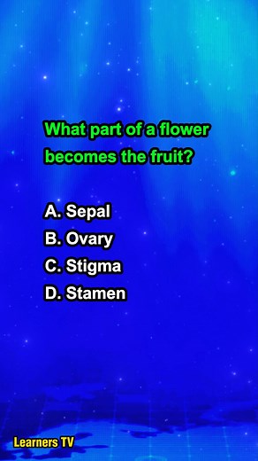 145K views · 1.1K reactions | What part of a flower becomes the fruit? #learnerstv #sciencequiz #botany #learning #education | Learners TV | Facebook