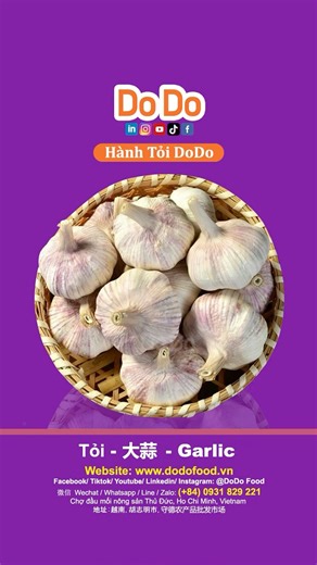 Tỏi dodo- garlic #côngtycổphầndodoglobal