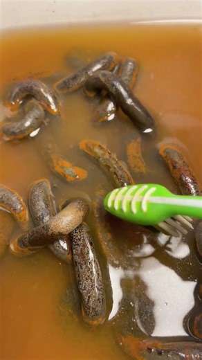 Extremely Rusty Chain Restoration #shorts #cleaning #restoration