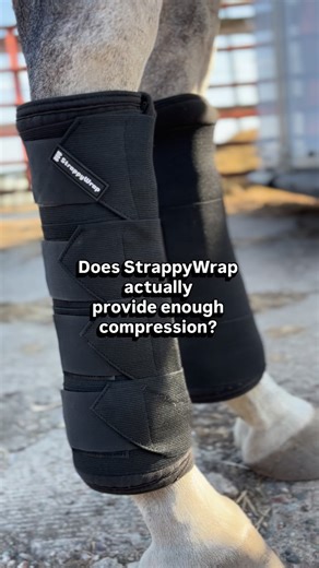That’s the whole point 😉 Wrapping legs is for a purpose. Other quick wraps lack the supportive compression provided by regular standing wraps…and that is what makes StrappyWrap different. No more having to choose between convenience or compression. 🤗 Shop now at StrappyWrap.com #horsecare #horselife #equestrian #equestrianlife #rodeolife #horsecareroutine #horsecaretips #horsebarn #equestrianstyle #horselove #horsetraining #horsehealth #horsegrooming #barrelracer #eventhorse #dressage #jumper 