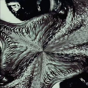 26K views · 57 reactions | Once you summon him, you can’t stop him. Slender Man in cinemas August 23. | Sony Pictures | Facebook