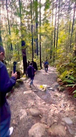 Caminando en Lynn Canyon en Canadá 🇨🇦⛰️ #shortsfeed #travel #travelvlog #canada #snow