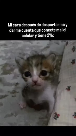 Monky on Instagram: "😞😞😞#fypシ❤️💞❤️ #viralreels #risa #latam #mexicocity"