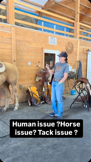 1.3K views · 272 reactions | ‍♀️Horse Issue ? Tack Issue ? Human...