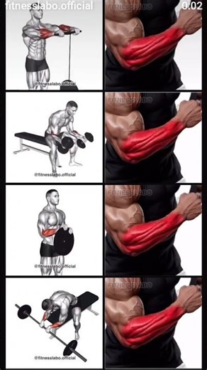 ✅gym exosize praktes ✅#shortvideo