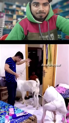 🇦 🇱 🇴 🇳 🇪 S UM AN on Instagram: "तुम जानते हो? जापान अब “चलते कदमों" से बिजली बना रहा है! - जापान में अब ऐसी पाइज़ोइलेक्ट्रिक (Piezoelectric) 427 टाइलें लगाई जा रही हैं, जो तुम्हारे हर कदम से पैदा होने वाली ऊर्जा को बिजली में बदल देती हैं! जब लोग इन टाइलों पर चलते हैं, तो उनका वजन जन और हलचल टाइलों पर पर दबाव डालता है, जिससे टाइल हल्के से झुकती है और मैकेनिकल स्ट्रेस पैदा होता है। टाइल के अंदर मौजूद खास पदार्थ इस दबाव को इलेक्ट्रिक चार्ज में बदल देते हैं। हर कदम से थोड़ी-थोड़ी बिजली बनती है