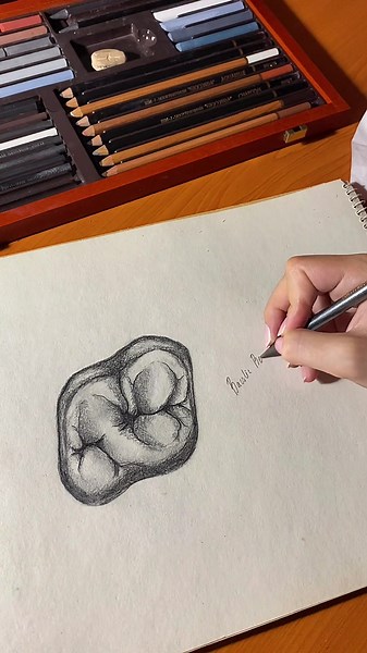 Upper Molar Tooth Drawing Tutorial