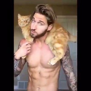 107K views · 602 reactions | How to workout at home with your cat   | The Bodybuilding Nation | Facebook