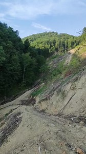 Alunecările de teren și viiturile de pe versanți, provocate de defrișările necontrolate de pădure. Totul se face cu acordul celor care au condus și conduc România. | 60m.RO