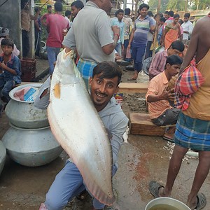 Our Village Area Big Fish Market. Popular Fish Bazar In Bengal. #FISHMARKET 01 | Fisherman Animal Lover-Original