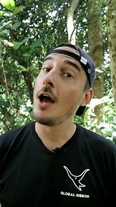 20K views · 350 reactions | Part 3 | Global Gibbon | Facebook