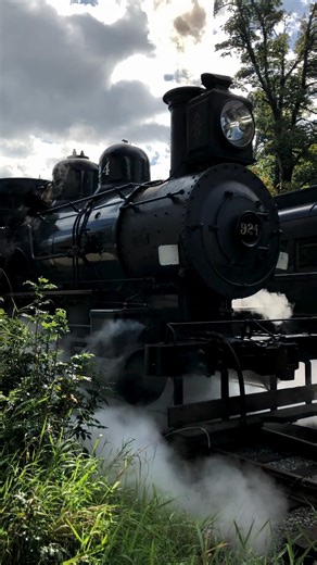 5.6K views · 96 reactions | Steam Train Rides November 1-2. Tickets at TrainMuseum.org  | Northwest Railway Museum | Facebook