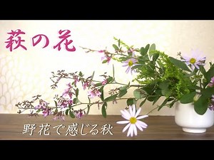 [Ikebana]Autumn wildflowers🍁This is the real pleasure of IKEBANA✨