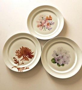 3 Xvintage Limoges France Floral Serving Plates, Hand-painted Porcelain Flowers - Etsy Canada