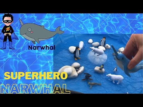 Learn about Arctic animals | Arctic sea animals Narwhals for kids