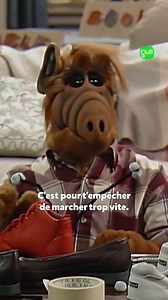 Jody choisit finalement d'aller s'installer ailleurs, seule, mais Alf décide de la suivre... 😅 "ALF", du lundi au jeudi à 20h15 et les mercredis à 21h05 dans GulliPrime | Gulli