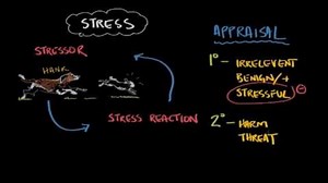 What is stress?