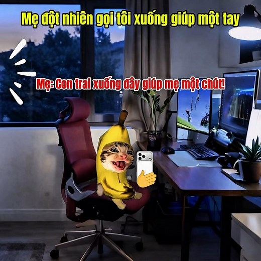 Không chet thì lòng tôi không yên đâu! #meme #catmeme