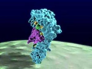 Molecular Structure Animation