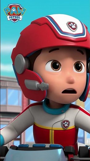 Paw Patrol Pups Rescue Captain Turbot