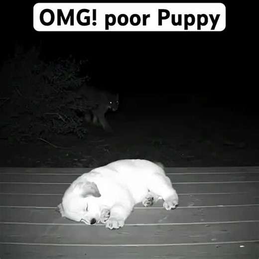 Os vídeos de fhfhx (@fhfhx45hhg) com som original - fhfhx