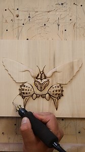 Tiger Butterfly. Wood carving. Wood burning. | Oleksandr Hrytsai. Wood Carving