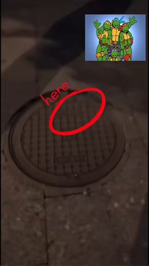 Teenage Mutant Ninja Turtles 🐢 on Instagram: "💥 Click our bio ➡️ @ninja_turtles_fans Footage credit: @videoaleatoire3 on tik.tok ---------------------- #tmnt #teenagemutantninjaturtles #ninjaturtles #tmntfan #turtlepower #leonardo #raphael #michelangelo #donatello #tmntart #tmntcosplay #tmntmemes #tmnttoys #tmntcollector #tmntfigures #tmntfanart #tmntmovie #tmntninjas #tmntfamily #tmntforever #tmntmerch #tmntlegacy #tmntnostalgia #tmntcomics #tmntseries"