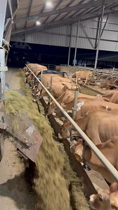 “Factory Farm” “Family Farm” labels everywhere | TDF Honest Farming