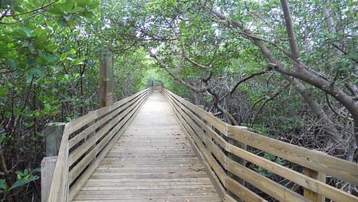 6 best things to do in Hobe Sound, from driving under the banyans to climbing Hobe Mountain