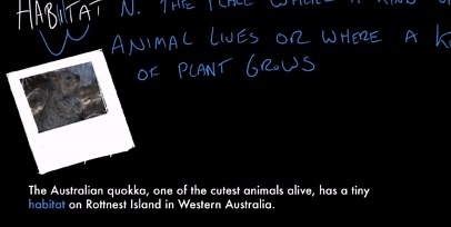 Habitat, Species, Environment | Vocabulary