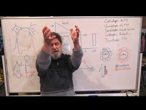 15. Human Behavioral Biology: Advanced Topics in Neuroendocrinology 1 by Robert Sapolsky