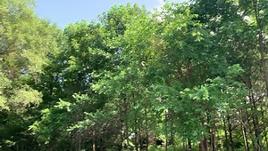 1.2K views · 46 reactions | On Deck Season 29 of The American Woodshop | The American Woodshop | Facebook