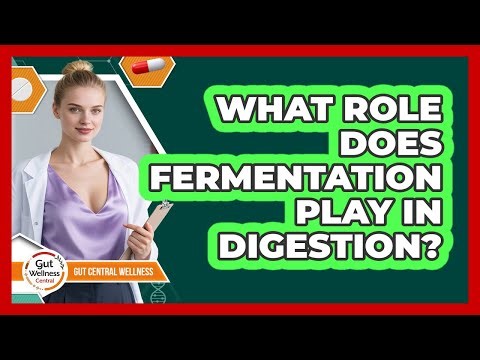 What Role Does Fermentation Play In Digestion?